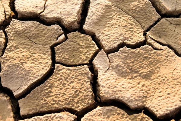 Cracked lifeless soil — Stock Photo, Image