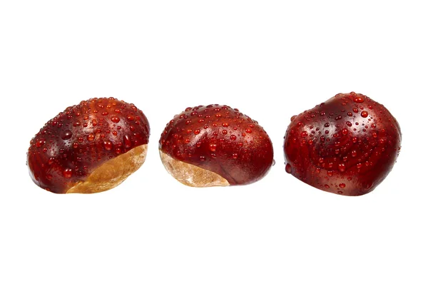 Chestnut fruit close-up with water drops — Stock Photo, Image