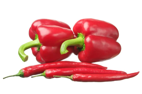 Röd peppar och paprika — Stockfoto