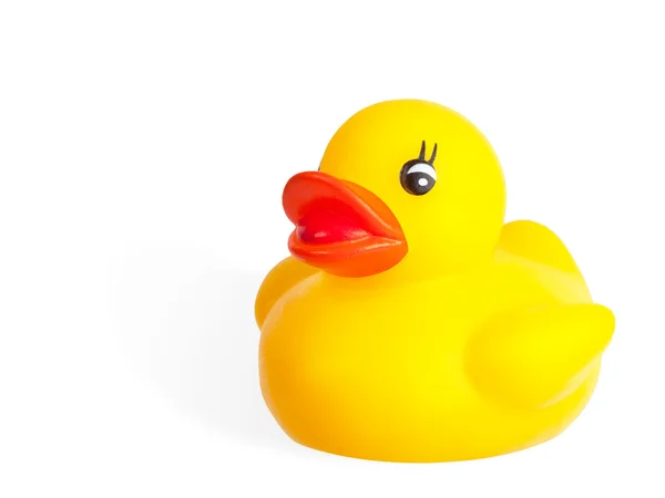 Cute yellow rubber duck — Stock Photo, Image