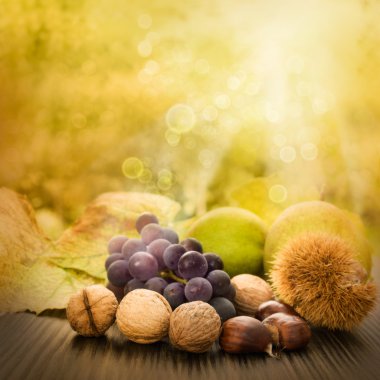 Set of autumn fruit clipart