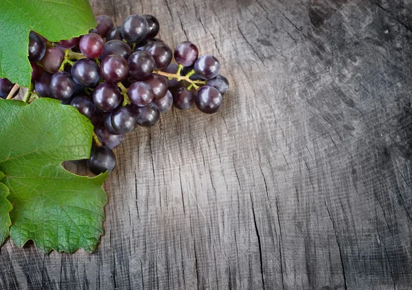 Zwart druiven — Stockfoto
