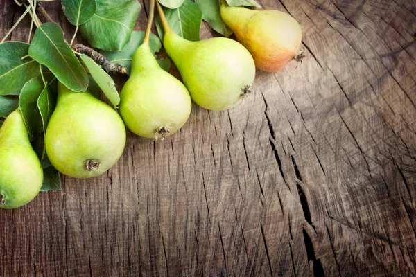 新鮮な収穫梨 ロイヤリティフリーのストック画像