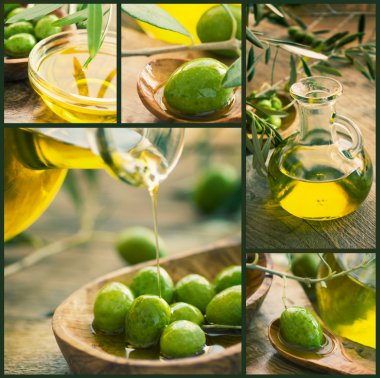 Olive oil collage clipart