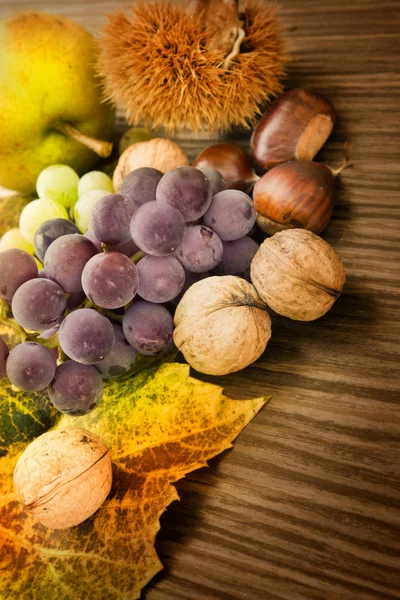 Reihe von Herbstfrüchten — Stockfoto