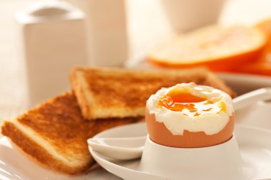 Soft boiled egg clipart