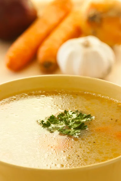 パスタ入り野菜スープ — ストック写真