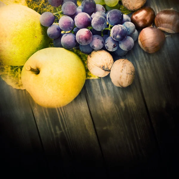 Conjunto de fruta de otoño — Foto de Stock