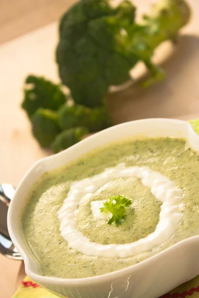 Sup Brokoli — Stok Foto