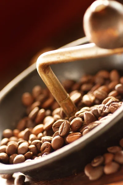 A kávédaráló kávé bab — Stock Fotó