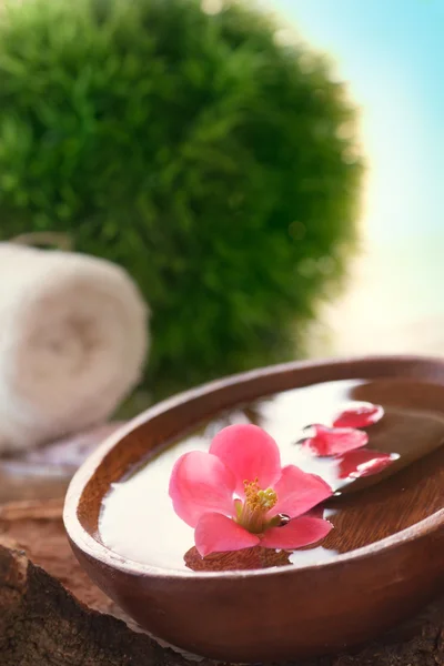 Cadre spa avec fleur — Photo