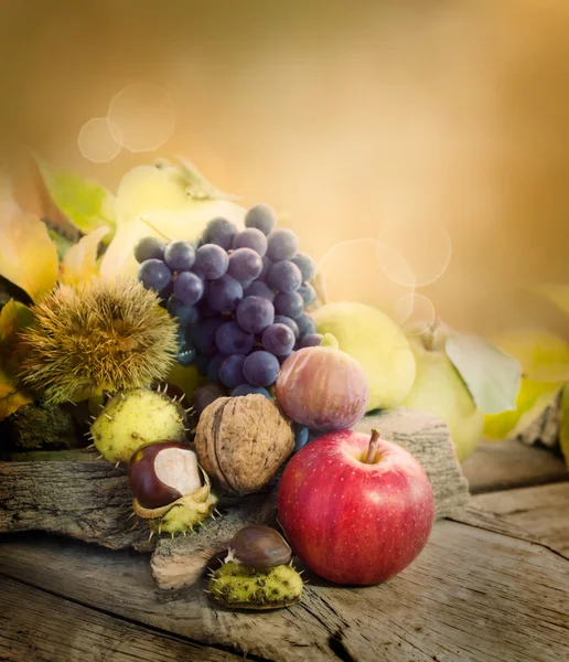 Autumn fruit — Stock Photo, Image