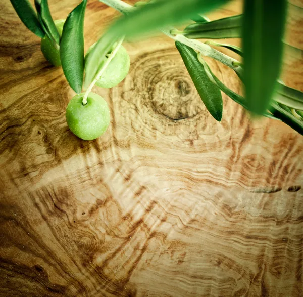 Branche d'olivier sur fond de bois d'olivier — Photo