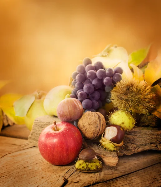 Осенний плод — стоковое фото