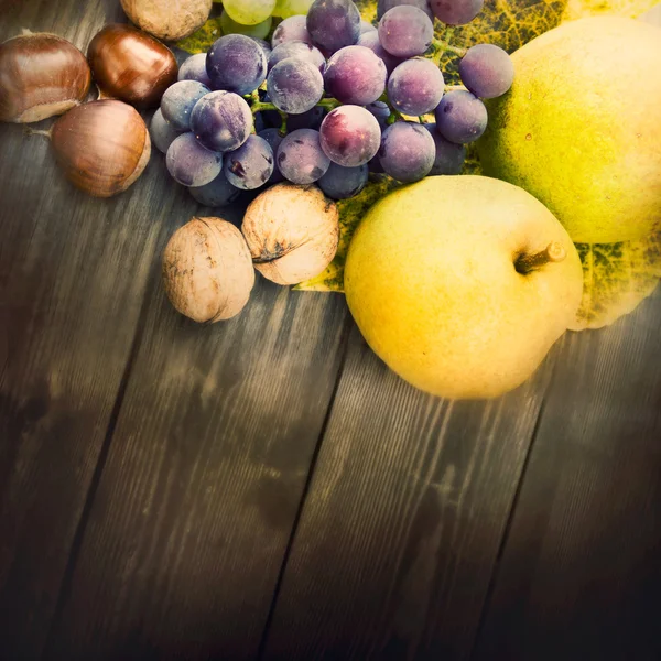Zbiór owoców jesieni — Zdjęcie stockowe