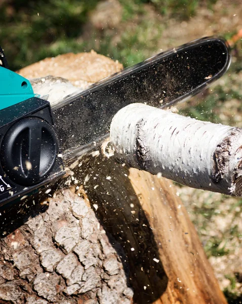 stock image Sawing firewood