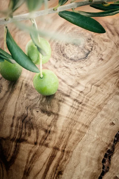 Rama de olivo sobre fondo de madera de oliva — Foto de Stock
