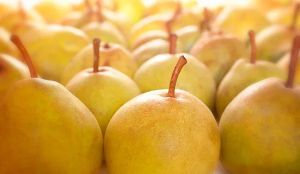 Row of ripe pears — Stok fotoğraf