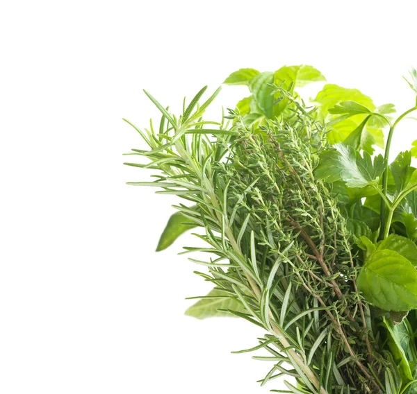 Herbs with copyspace — Stock Photo, Image