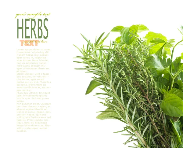 Herbs with copyspace — Stock Photo, Image