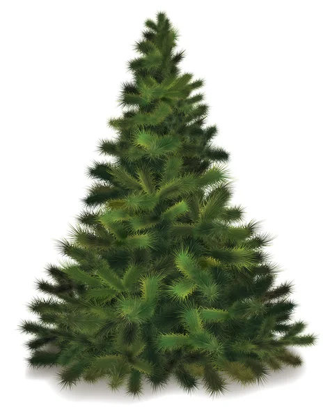 Vector árbol de pino de Navidad — Archivo Imágenes Vectoriales
