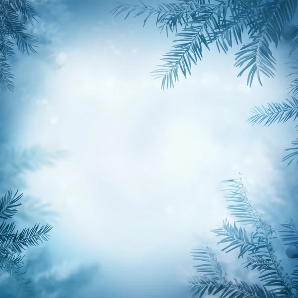 Festive winter background — Stock Photo, Image