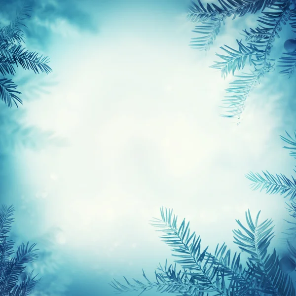 Festive winter background — Stockfoto