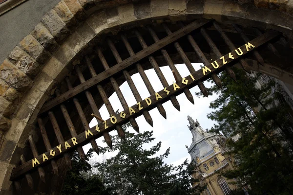 Puerta medieval masiva Fotos De Stock Sin Royalties Gratis