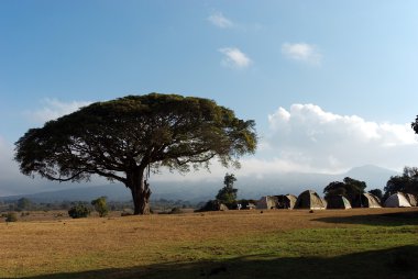 Savannah kamp
