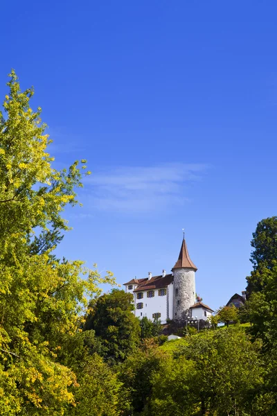 Starý hrad ve městě Runkel, Luzern — Stock fotografie