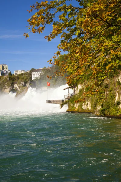 Рейнський водоспад, Швейцарія — стокове фото