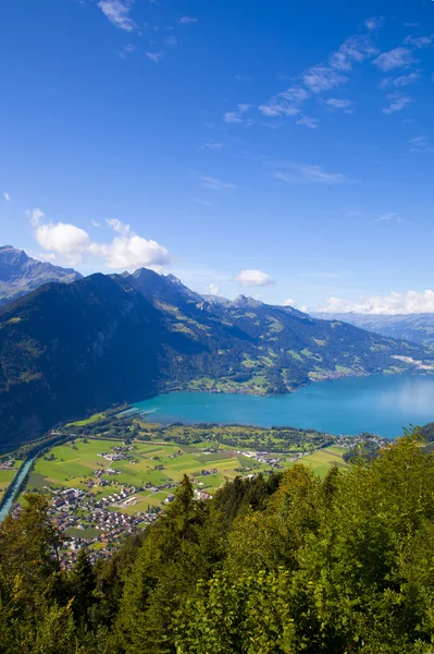인터 라 켄, 스위스에서에서 광 야 자연 — 스톡 사진