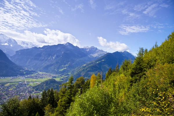Příroda divočiny v interlaken, Švýcarsko — Stock fotografie