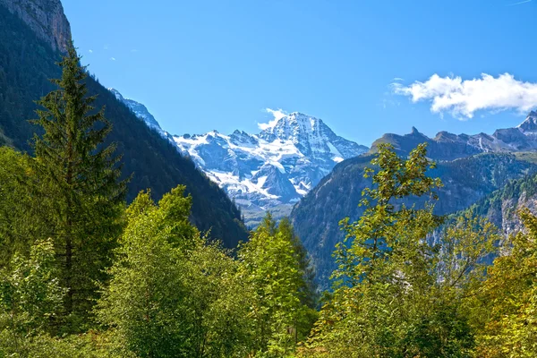 Natura selvaggia nelle Alpi svizzere — Foto Stock