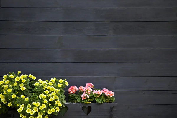 Dunkle Holzwand mit Blumen — Stockfoto