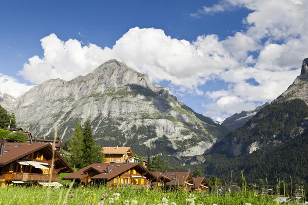 Villaggio di Grindelwald — Foto Stock