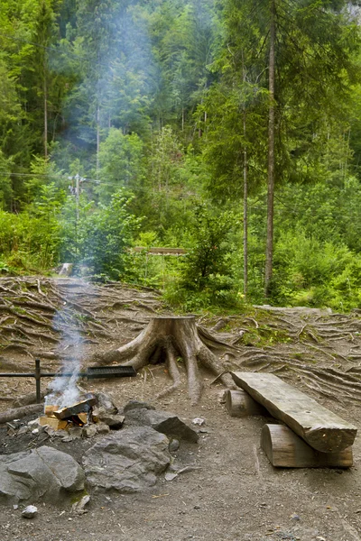 Bonfire in forest — Stock Photo, Image