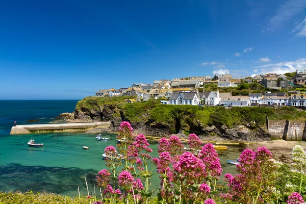 Cove and harbour of Port Isaac, Cornwall, England — Stock Photo, Image