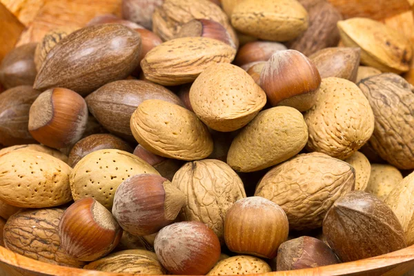 stock image Mixed nuts (hazelnuts, walnuts, shell almonds, pecans)