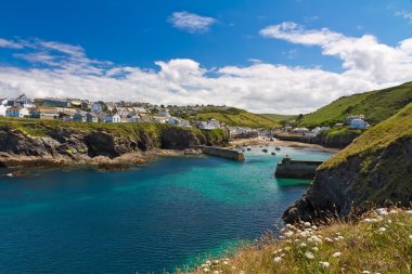 koyu ve Limanı Isaac ile beyaz çiçekler, cornwall, İngiltere'ye bağlantı noktası