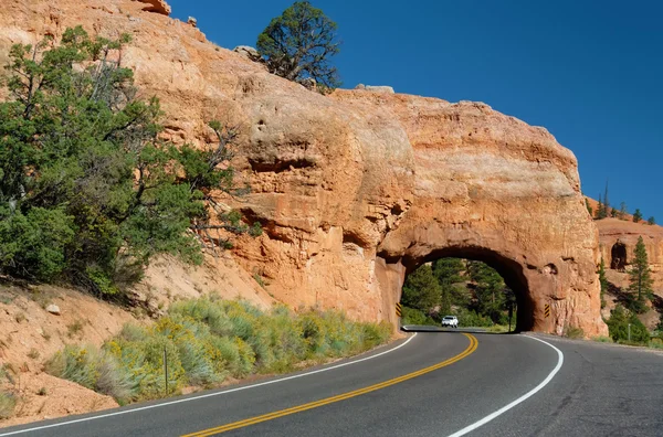 Kronkelende weg op rood canyon (dicht bij bryce canyon national park), utah, usa — Stockfoto