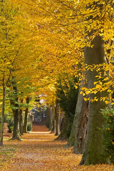 Park im Herbst, Karlsruhe, Deutschland — Stockfoto