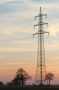 ağaç sunset, pfalz, Almanya ile elektrik pilon