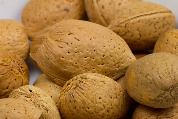 stock image Soft-shelled Almonds