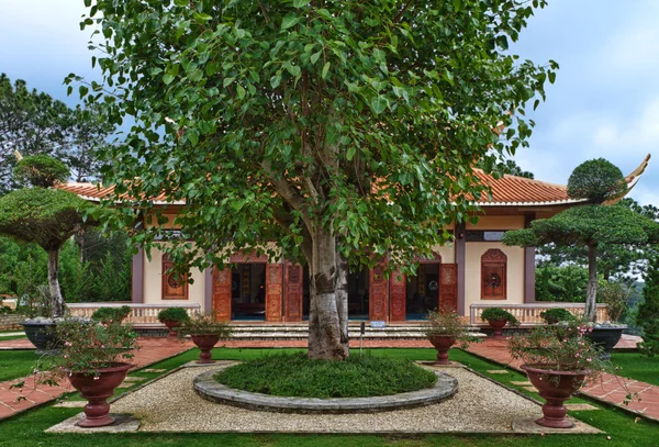 stock image Chua Thien Vuong Pagoda with tree, Dalat, Vietnam