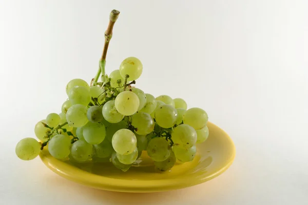 Тарелка с виноградом — стоковое фото