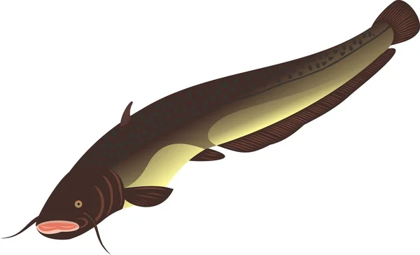 Le gros poisson-chat — Image vectorielle