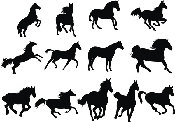 Дикие лошади — стоковый вектор