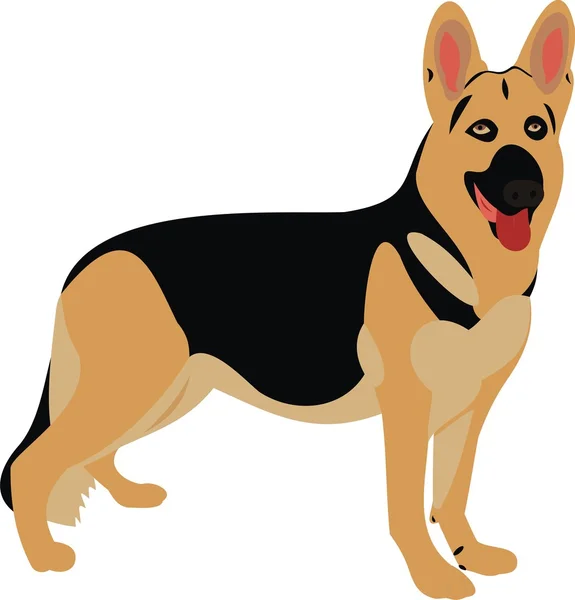 Schapen-hond — Stockvector