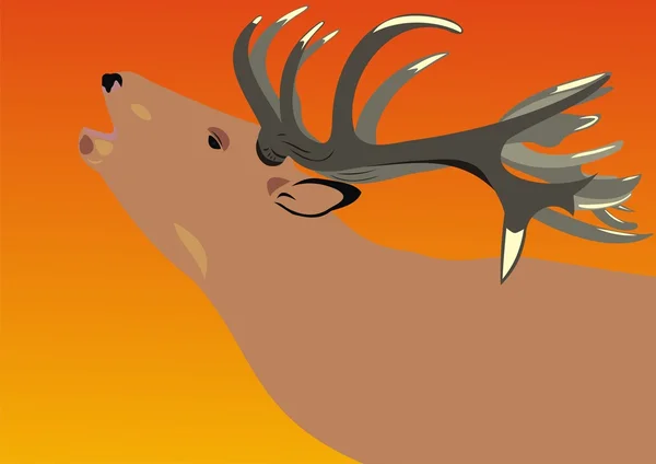 Deer on a decline — Stock Vector